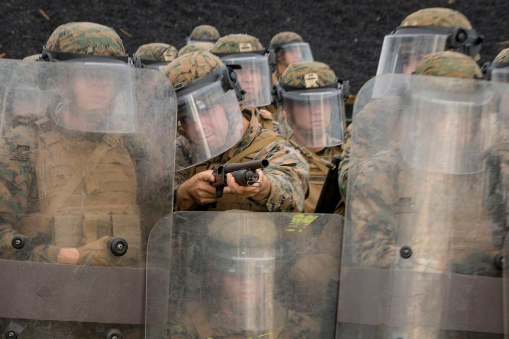 Marines with Echo Battery, Battalion